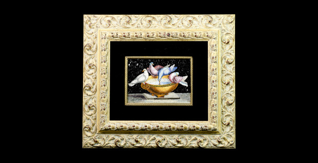 Colombe di Plinio – 16×22