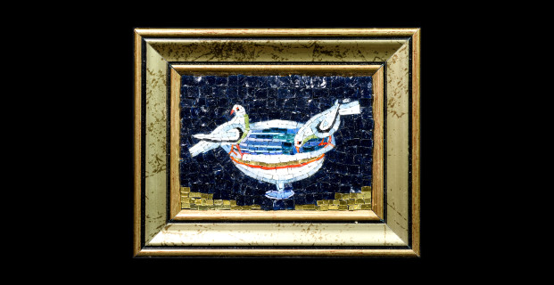 Colombe di Plinio – 7×10